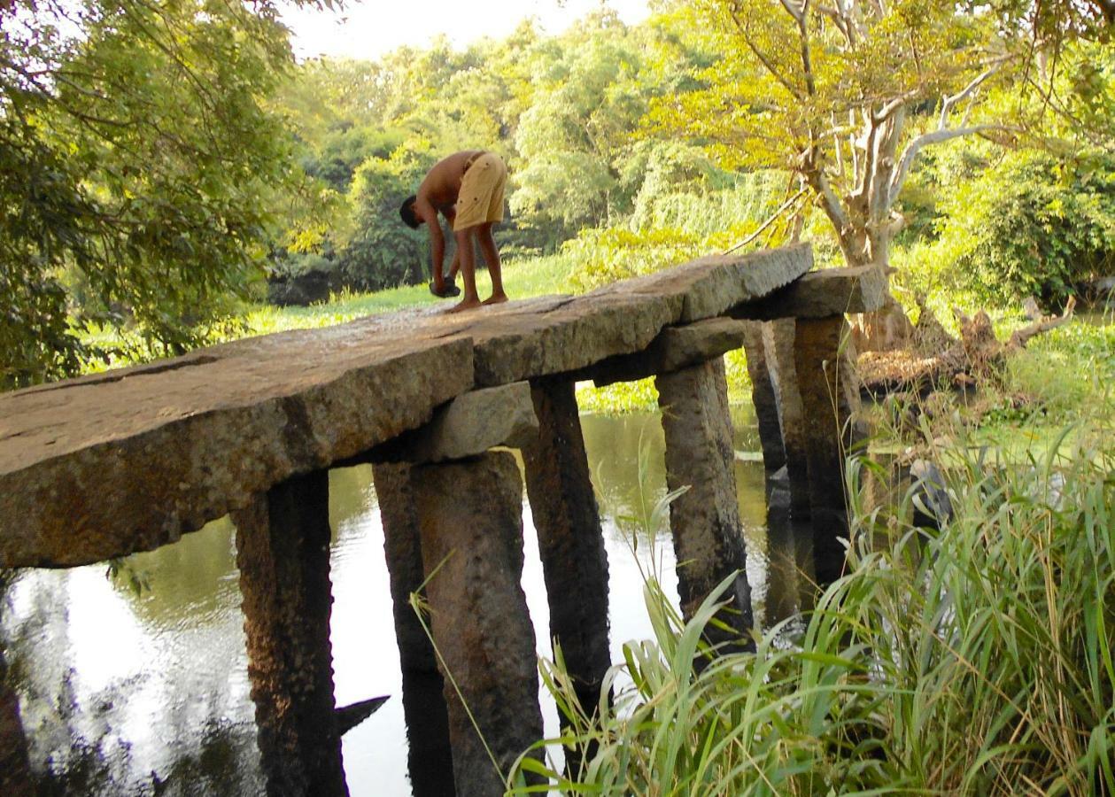 Homestay Camping Anuradhapura Esterno foto