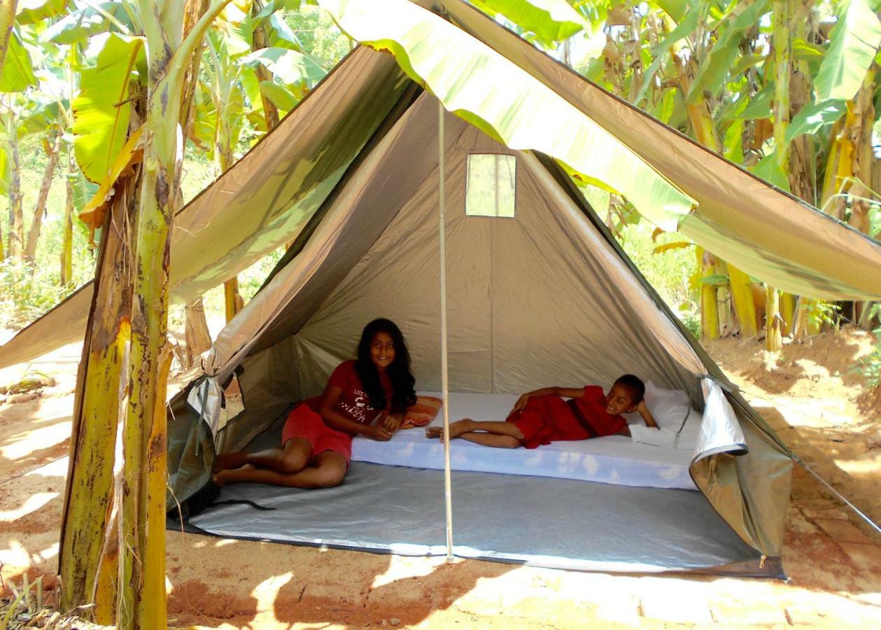 Homestay Camping Anuradhapura Esterno foto