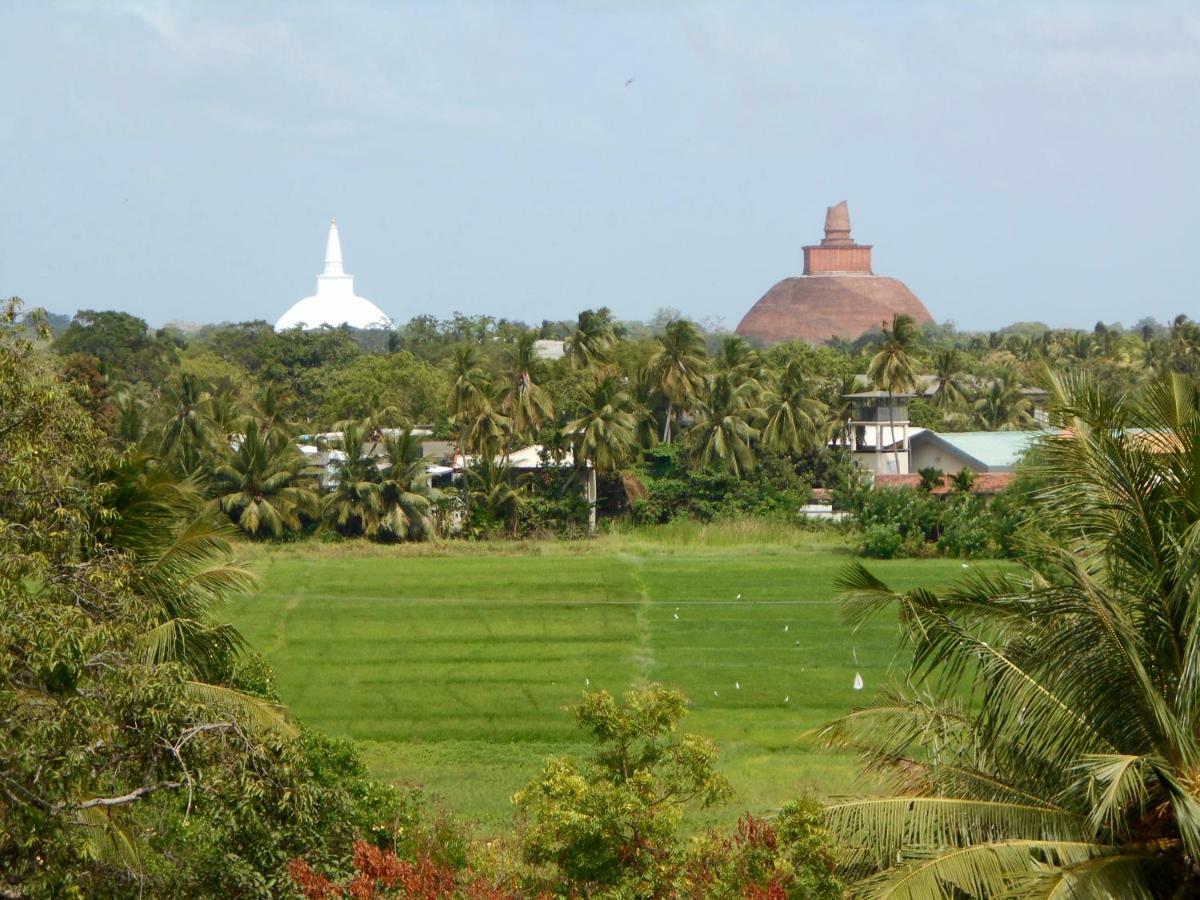 Homestay Camping Anuradhapura Esterno foto