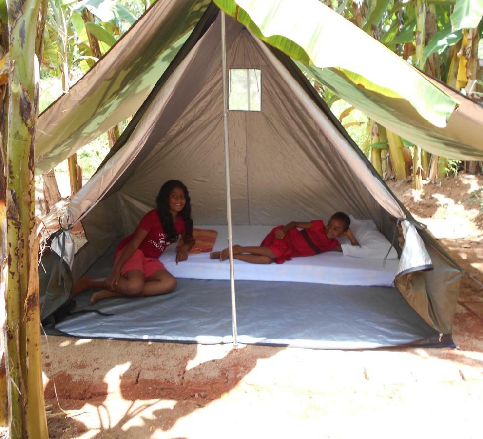 Homestay Camping Anuradhapura Esterno foto