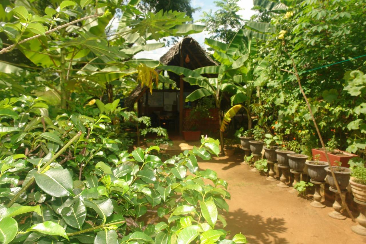 Homestay Camping Anuradhapura Esterno foto